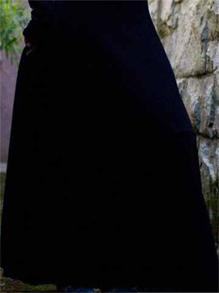 Gothic Long Sleeve Dress - Vintage Black Train Skirt Style up close