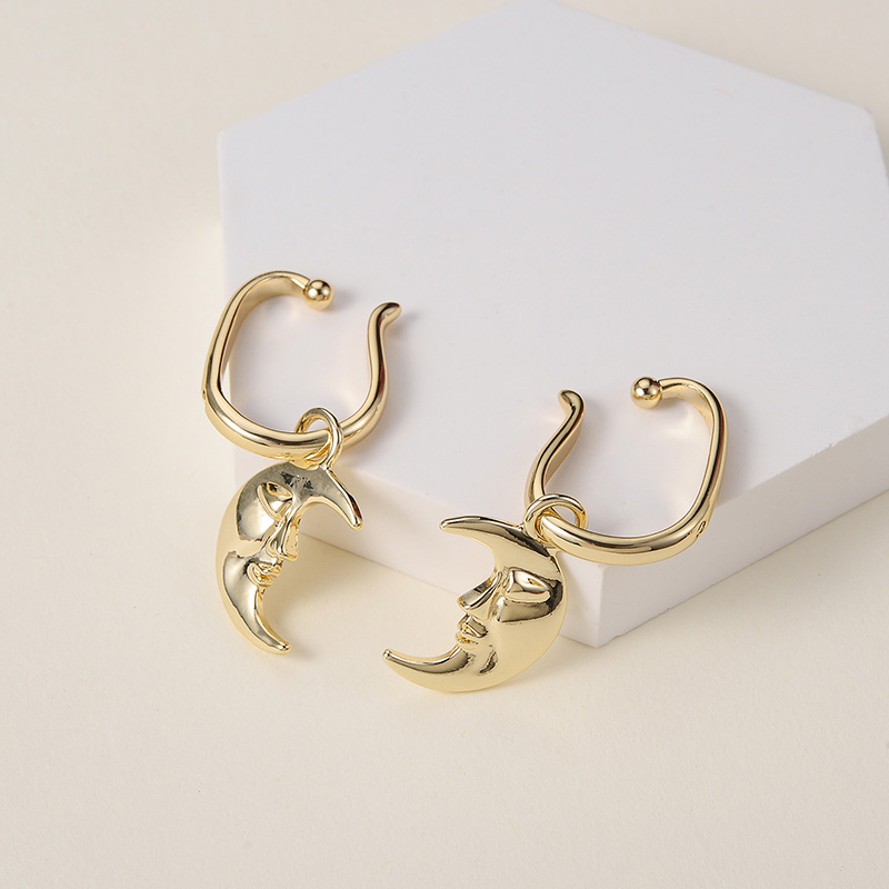 f48220f6 5cb6 487f 9bcf a6831da170ed Temperament Niche Design Female Personality Earrings