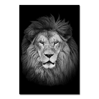 lion prints
