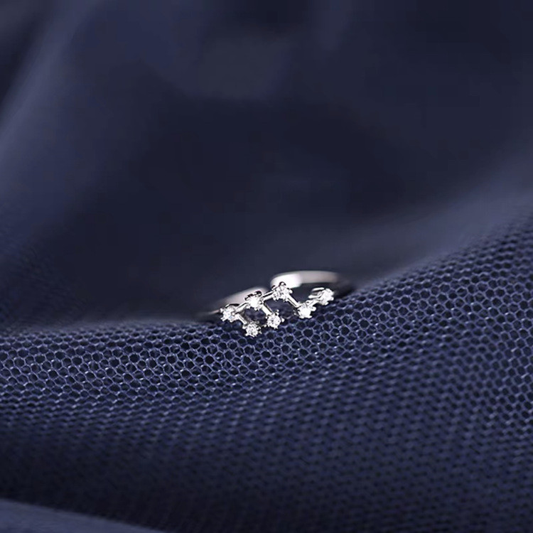 fb697528 cea6 4ad7 884b 232278edde5a S925 Silver Twelve Constellation Ring Female