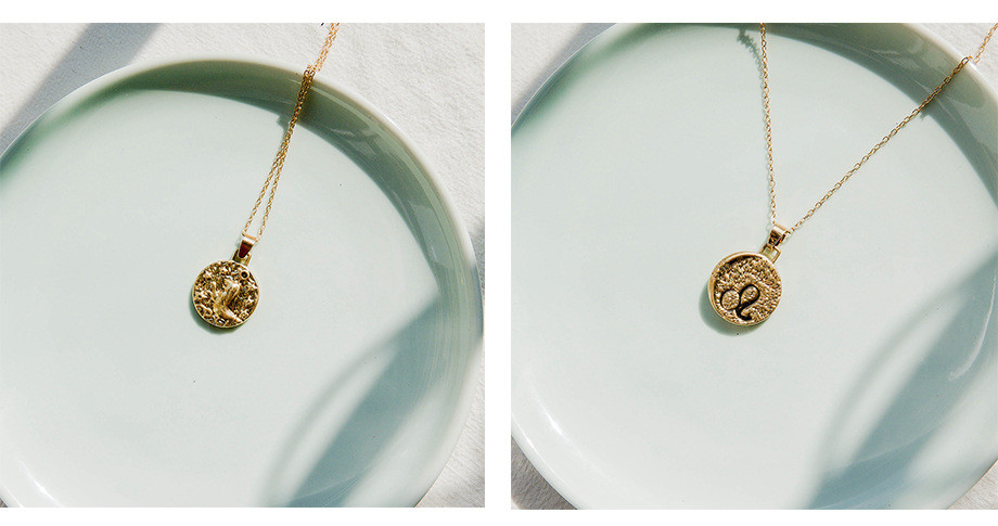 fd9c25c7 9a91 4cad bd9e 655861e4dfb5 Personalized twelve constellation pendant clavicle chain